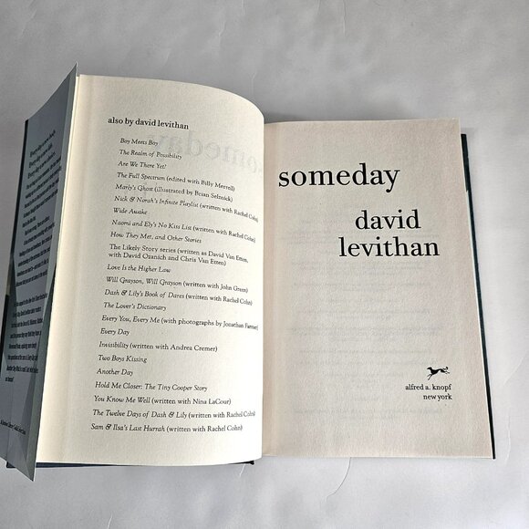 EVERY DAY YA Books by David Levithan - Picture 5 of 12